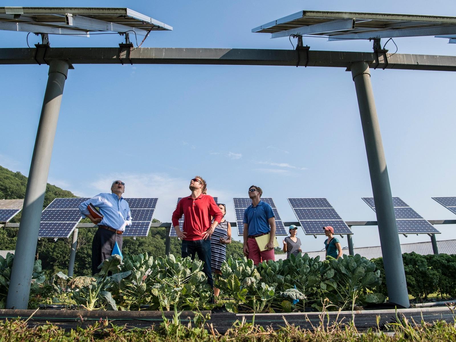 students standing in garden under solar panels