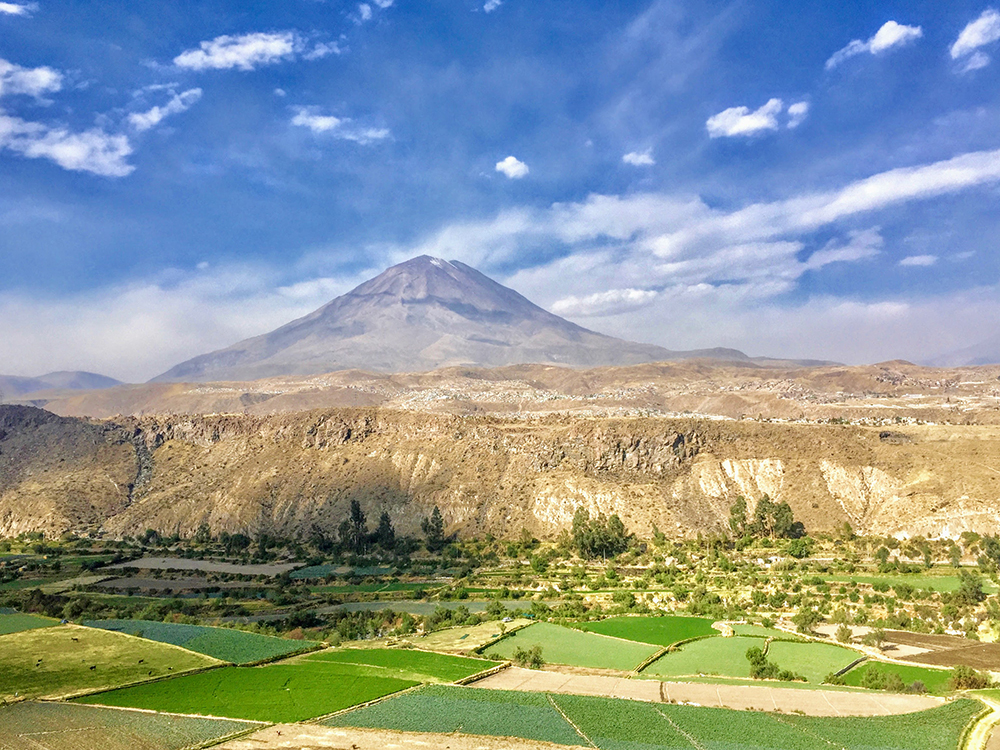 green planted fields and mountain in Peru