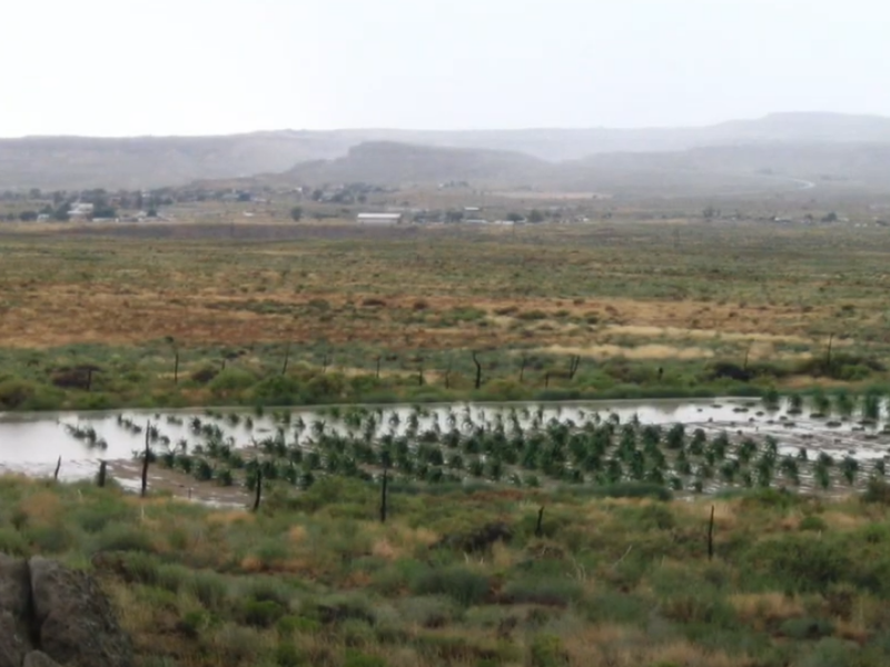 Flooding river on plains with mountains in background