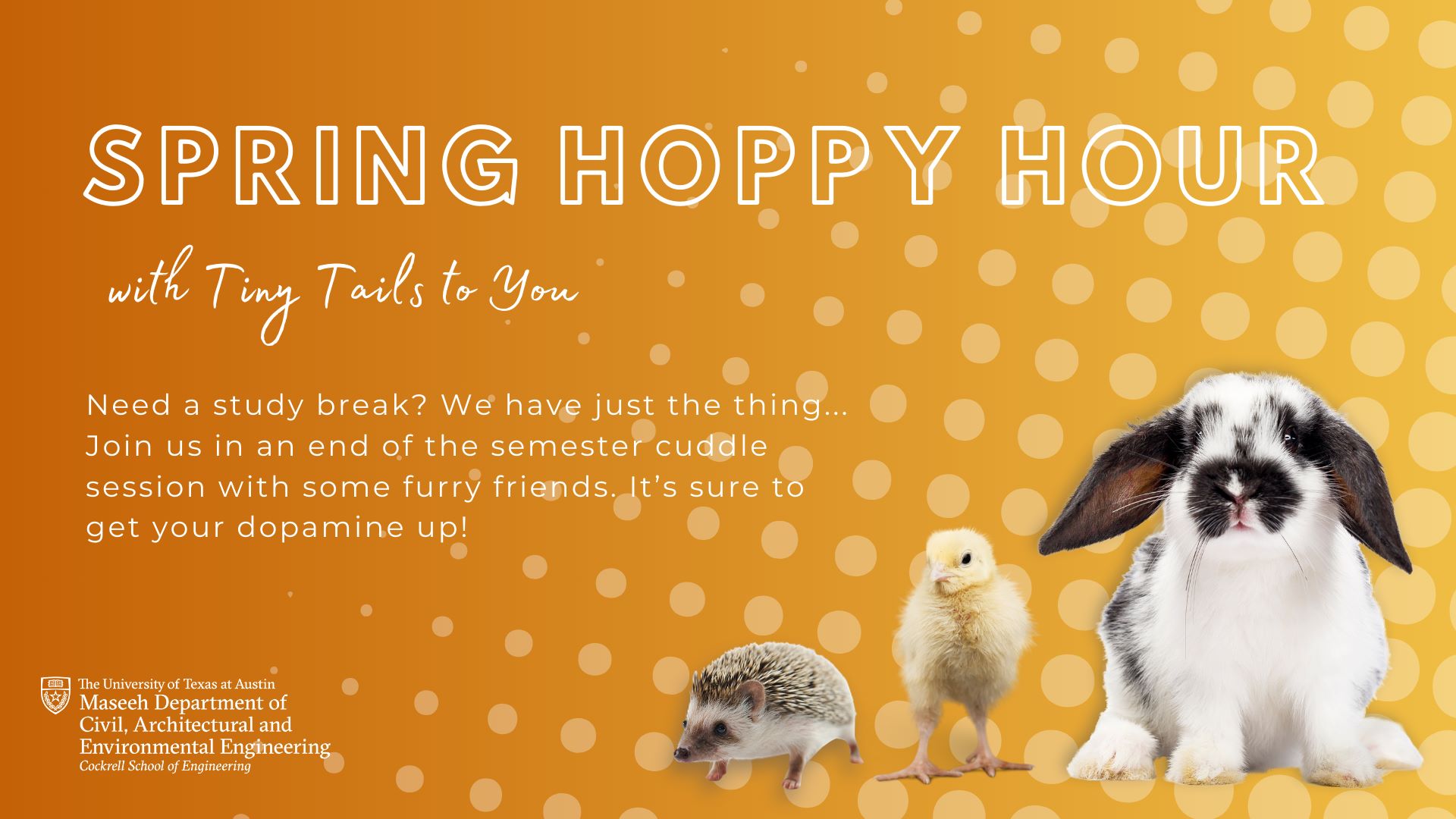 hoppy hour Presentation