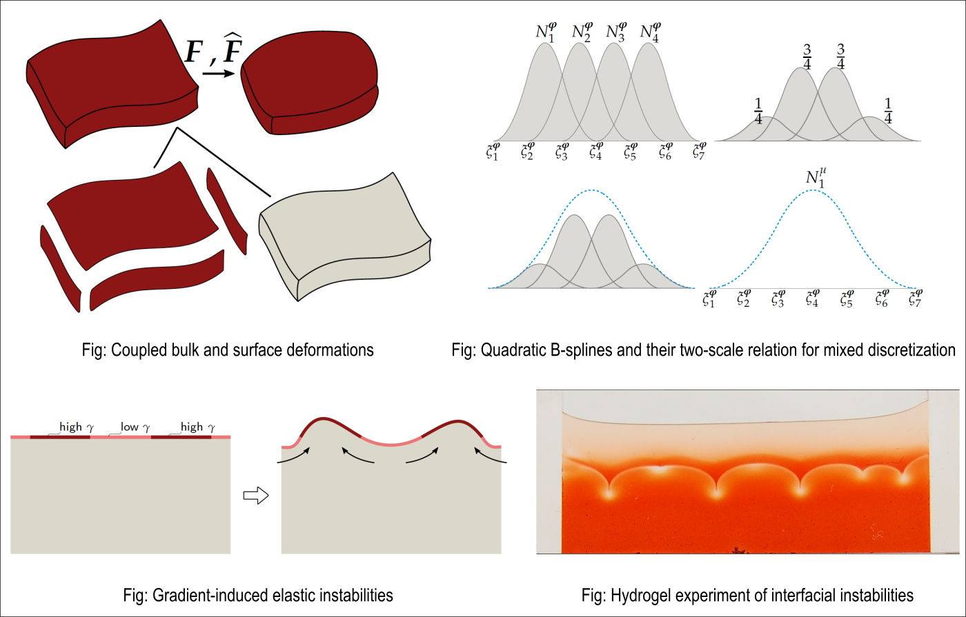 surface energetics