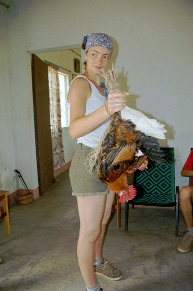 08-poules
