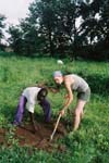 21-plantage