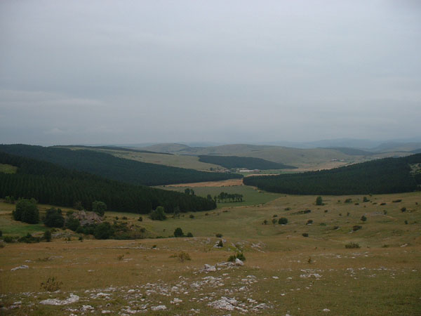 DSCF0021