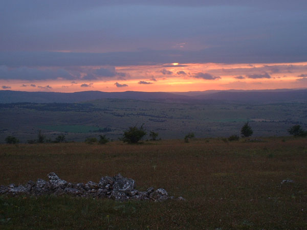 DSCF0022
