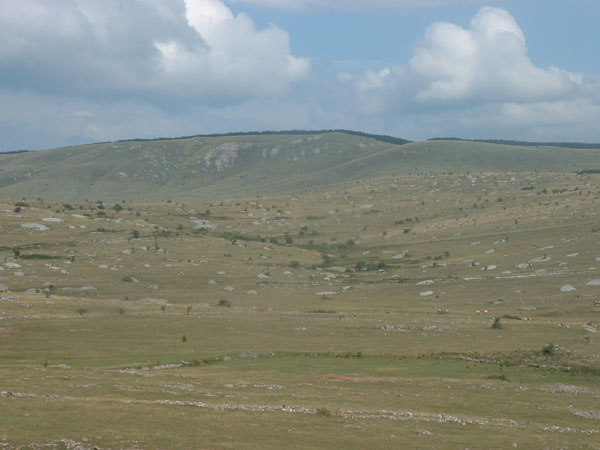 DSCF0033