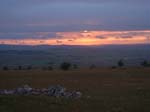 DSCF0022