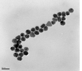 Mechanistic Nano-Tox